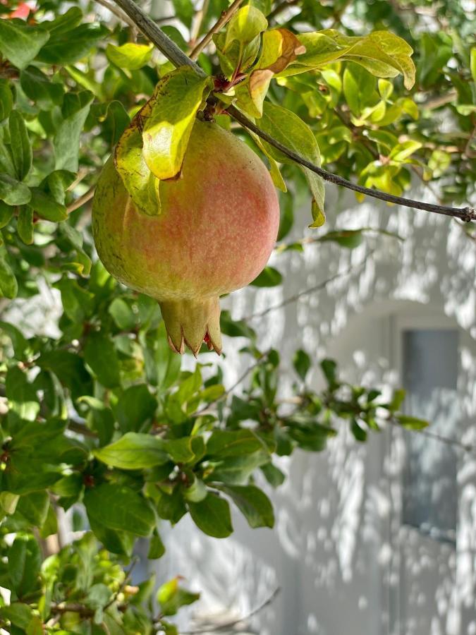 Maria Elena - Suite Home Mykonos Town Luaran gambar